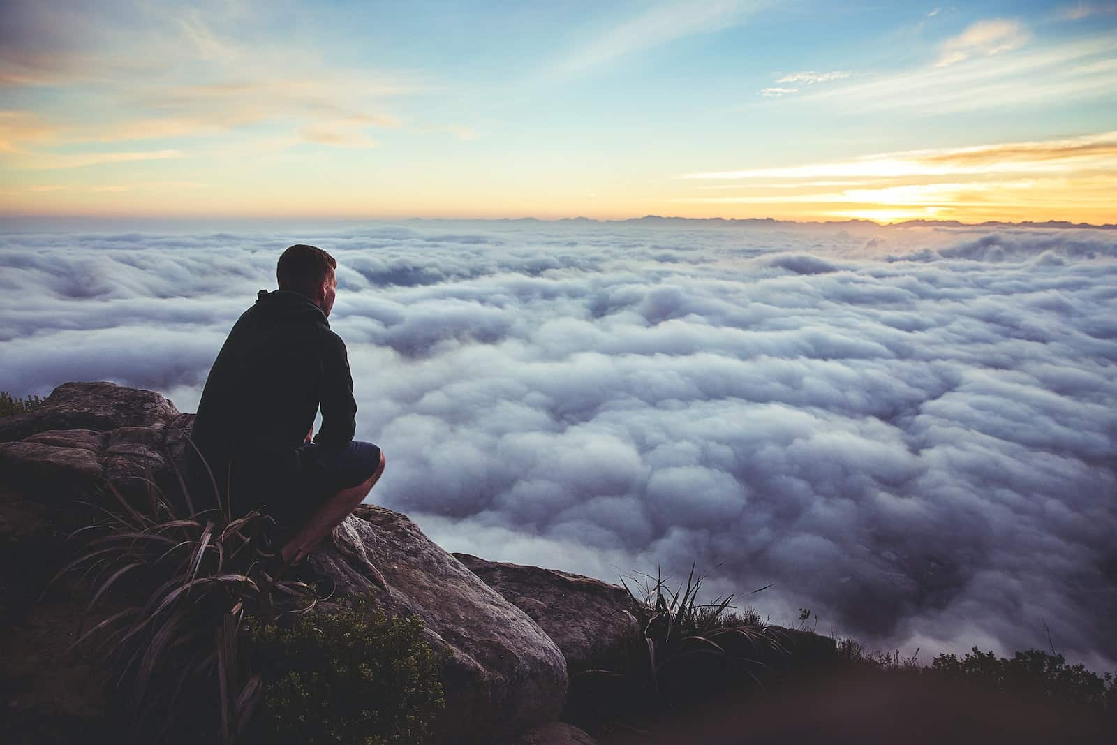 mision of mental health comapnies and bringing social value